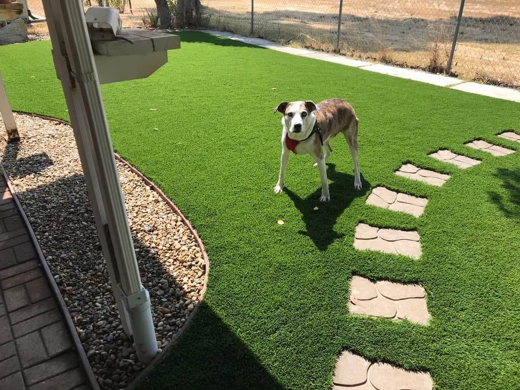 service single images