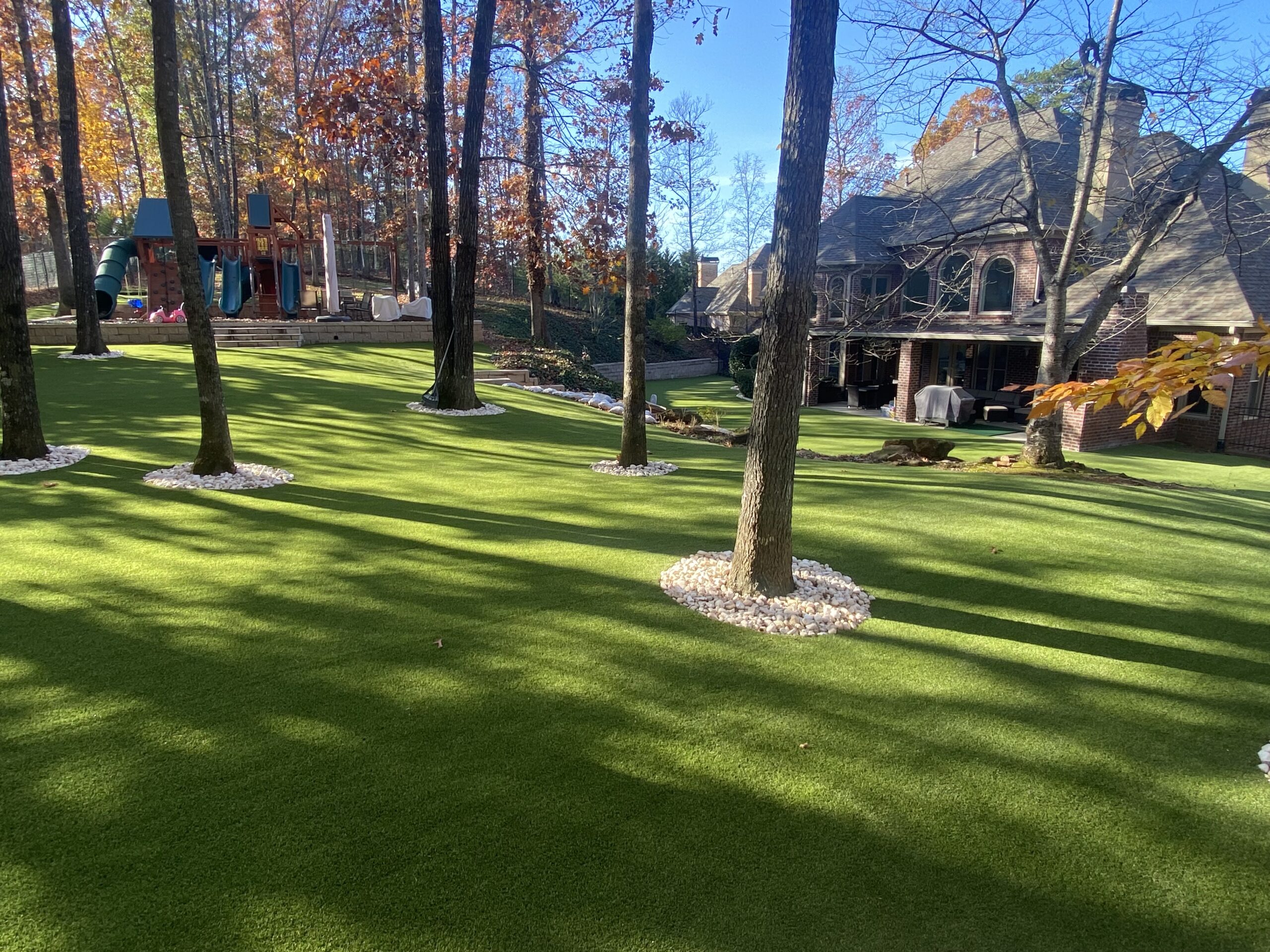 service single images